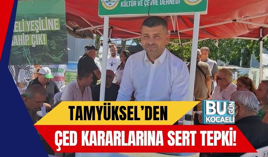 Tamyüksel’den ÇED Kararlarına Sert Tepki!