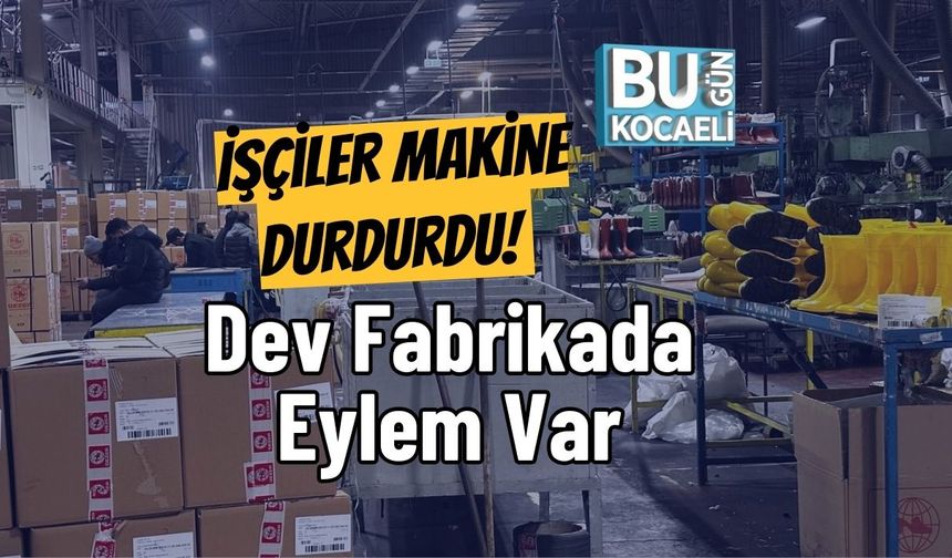 İşçiler Makine Durdurdu! Dev Fabrikada Eylem Var