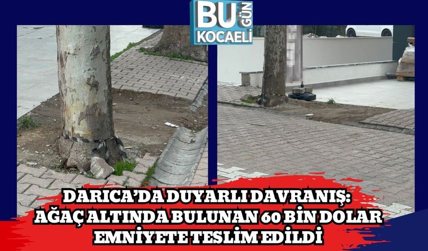 Darıca’da Duyarlı Davranış: Ağaç Altında Bulunan 60 Bin Dolar Emniyete Teslim Edildi