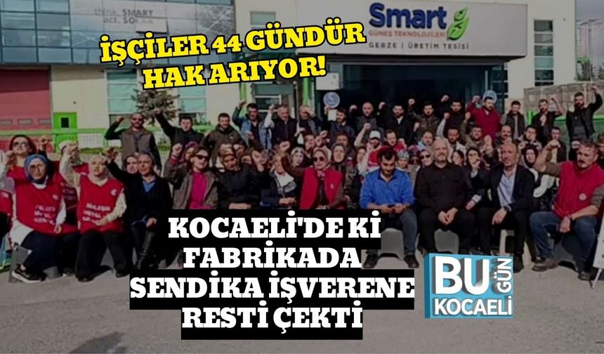 İşçiler 44 Gündür Hak Arıyor! Kocaeli'de ki Fabrikada Sendika İşverene Resti Çekti