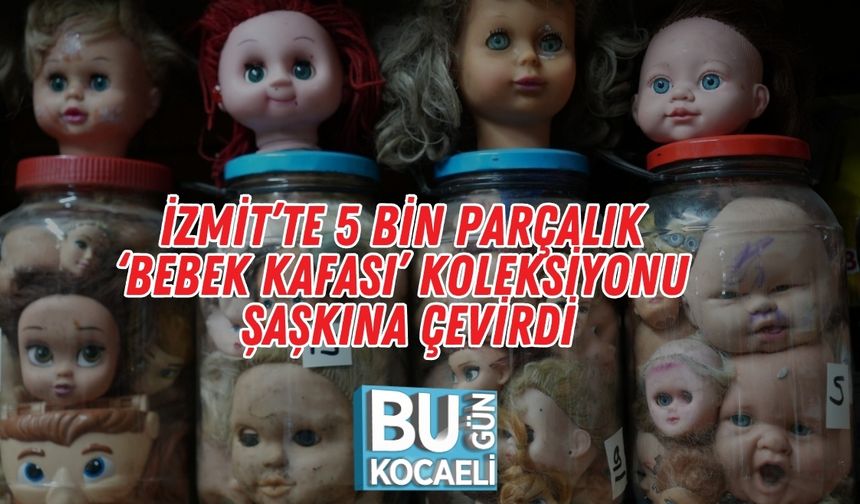 İzmit’te 5 Bin Parçalık ‘Bebek Kafası’ Koleksiyonu Şaşkına Çevirdi