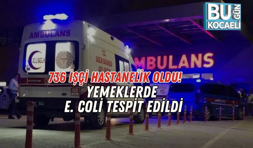 736 İşçi Hastanelik Oldu: Yemeklerde E. Coli Tespit Edildi
