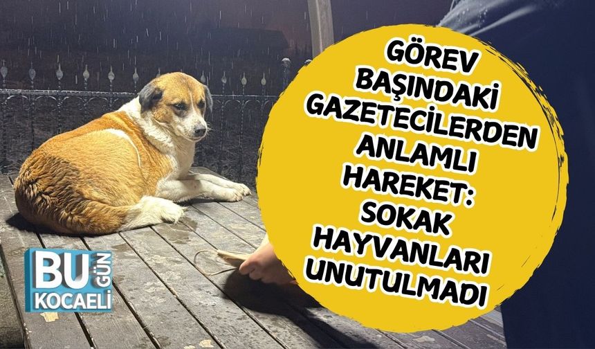 Görev Başındaki Gazetecilerden Anlamlı Hareket: Sokak Hayvanları Unutulmadı