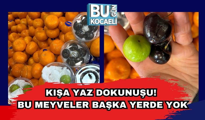 Kışa Yaz Dokunuşu! Bu Meyveler Başka Yerde Yok