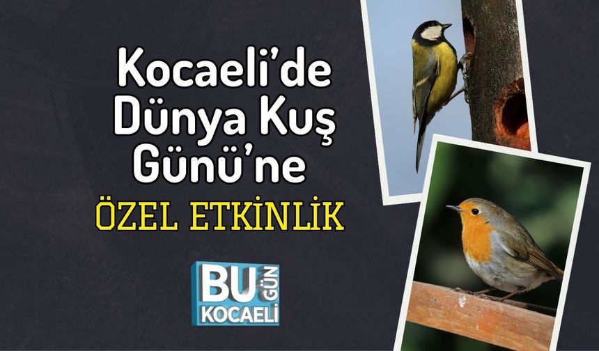 Kocaeli’de Dünya Kuş Günü’ne Özel Etkinlik