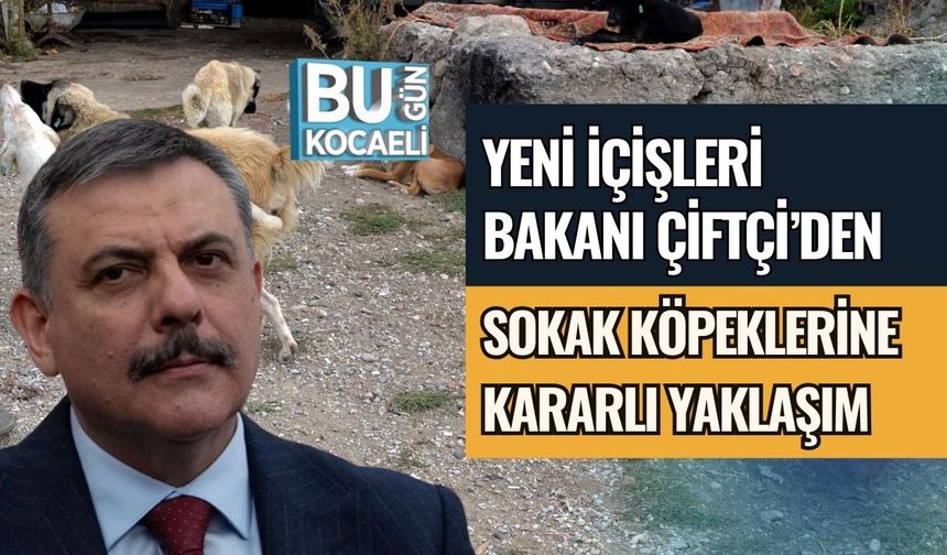 YENİ İÇİŞLERİ BAKANI ÇİTÇİ’DEN SOKAK KÖPEKLERİNE KARARLI YAKLAŞIM