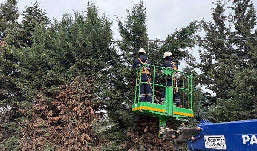 KARTEPE’DE MEZARLIKLARDA VE MEYDANLARA YOĞUN BAKIM
