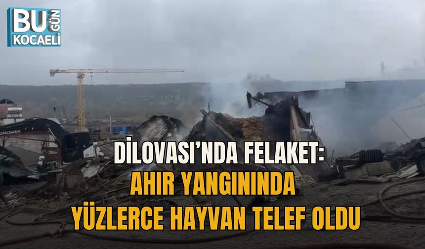 DİLOVASI’NDA FELAKET: AHIR YANGININDA YÜZLERCE HAYVAN TELEF OLDU