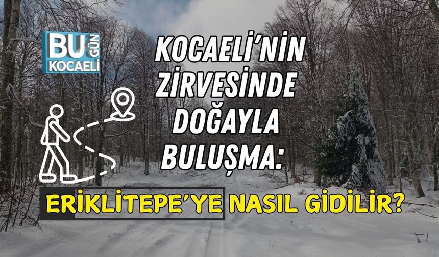 KOCAELİ’NİN ZİRVESİNDE DOĞAYLA BULUŞMA: ERİKLİTEPE’YE NASIL GİDİLİR?