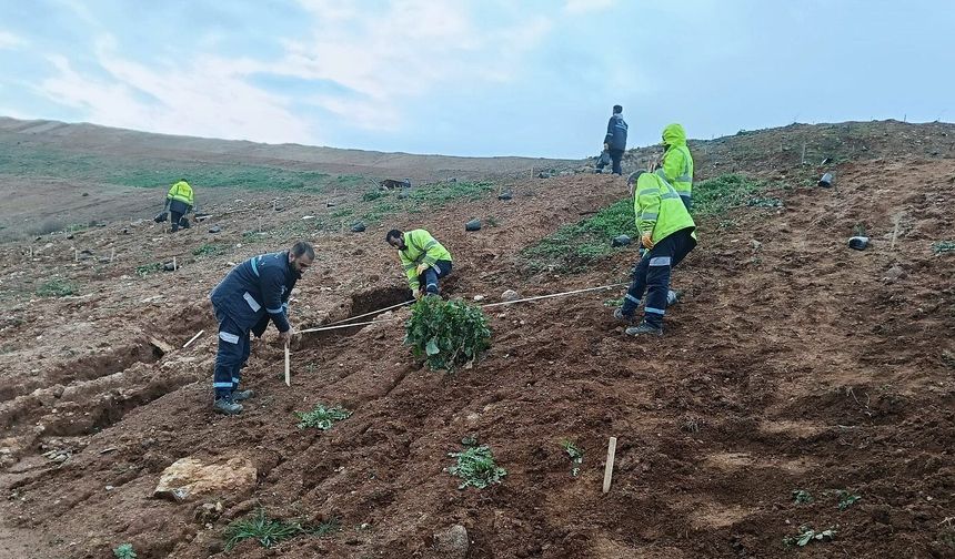 GEBZE’DE YEŞİL SEFERBERLİĞİ: BALÇIK’A 4 BİN 500 SEDİR