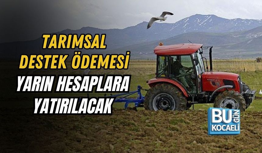 TARIMSAL DESTEK ÖDEMESİ YARIN HESAPLARA YATIRILACAK