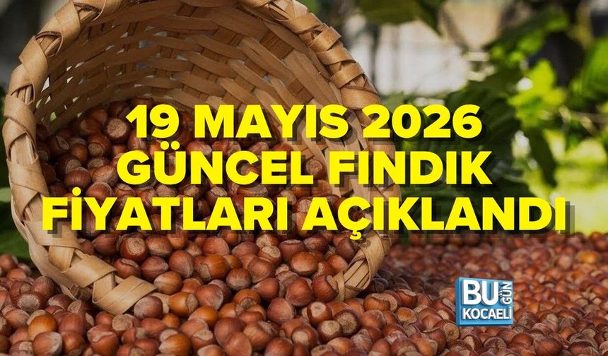 19 MAYIS 2026 GÜNCEL FINDIK FİYATLARI AÇIKLANDI
