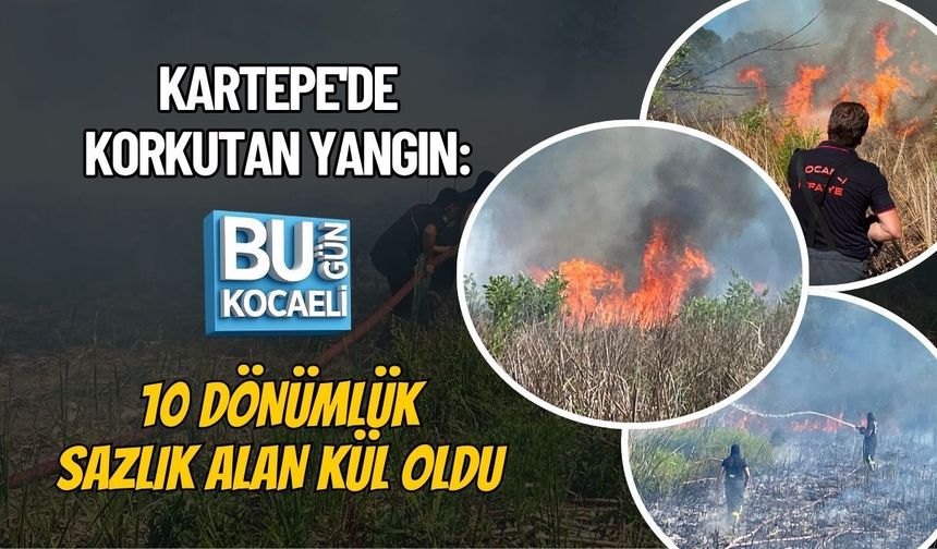 YAZ GELDİ YANGINLAR BAŞLADI! KARTEPE'DE KORKUTAN YANGIN: 10 DÖNÜMLÜK SAZLIK ALAN KÜL OLDU