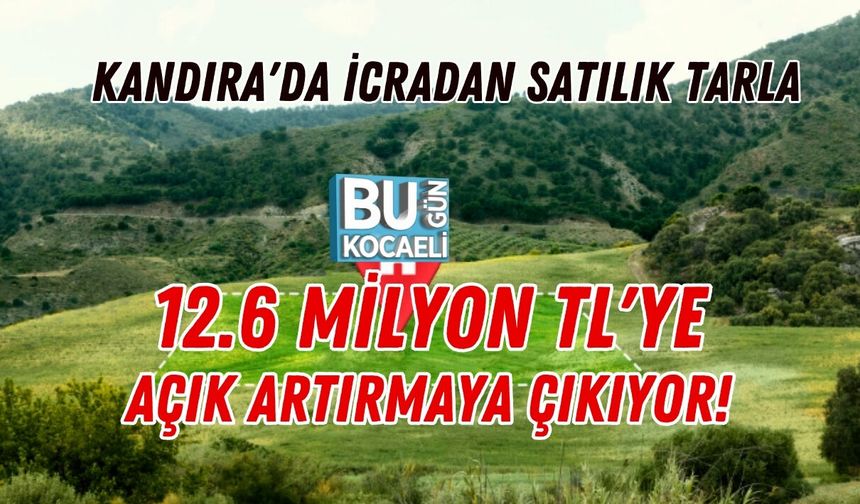 KANDIRA'DA İCRADAN SATILIK TARLA: 12.6 MİLYON TL'YE AÇIK ARTIRMAYA ÇIKIYOR!