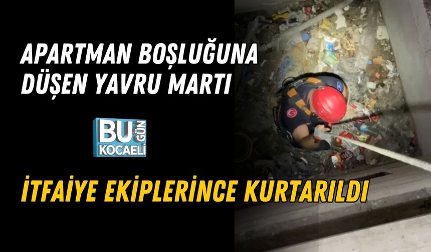 APARTMAN BOŞLUĞUNA DÜŞEN YAVRU MARTI İTFAİYE EKİPLERİNCE KURTARILDI