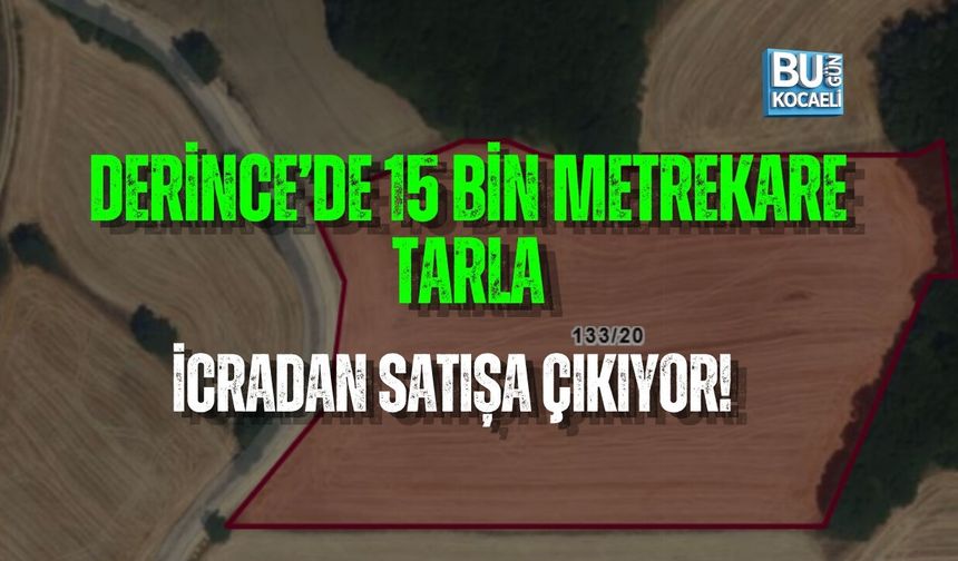 DERİNCE’DE 15 BİN METREKARE TARLA İCRADAN SATIŞA ÇIKIYOR!