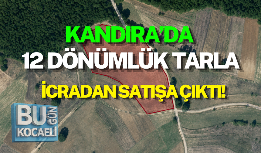 KANDIRA’DA 12 DÖNÜMLÜK TARLA İCRADAN SATIŞA ÇIKTI