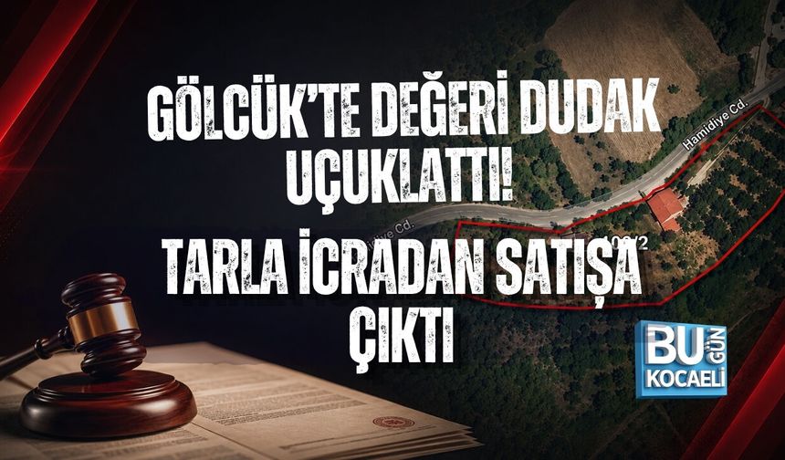 GÖLCÜK’TE DEĞERİ DUDAK UÇUKLATTI! TARLA İCRADAN SATIŞA ÇIKTI