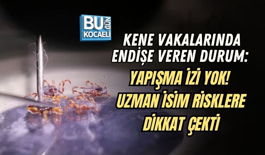 KENE VAKALARINDA ENDİŞE VEREN DURUM: YAPIŞMA İZİ YOK! UZMAN İSİM RİSKLERE DİKKAT ÇEKTİ