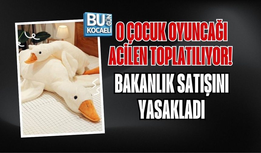 O ÇOCUK OYUNCAĞI ACİLEN TOPLATILIYOR! BAKANLIK SATIŞINI YASAKLADI