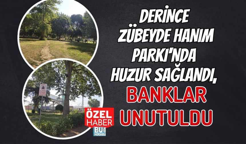 DERİNCE ZÜBEYDE HANIM PARKI'NDA HUZUR SAĞLANDI, BANKLAR UNUTULDU