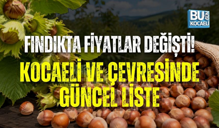 FINDIKTA FİYATLAR YENİDEN DEĞİŞTİ! KOCAELİ, KANDIRA, KARASU VE DÜZCE’DE GÜNCEL LİSTE