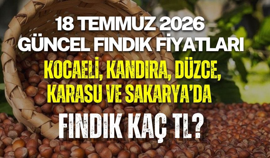 18 TEMMUZ 2026 GÜNCEL FINDIK FİYATLARI: KOCAELİ, KANDIRA, DÜZCE, KARASU VE SAKARYA’DA FINDIK KAÇ TL?