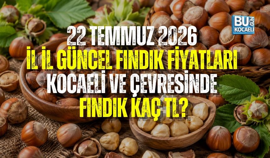 22 TEMMUZ FINDIK FİYATLARI BELLİ OLDU! KOCAELİ, KANDIRA, DÜZCE VE KARASU’DA FINDIK KAÇ TL?