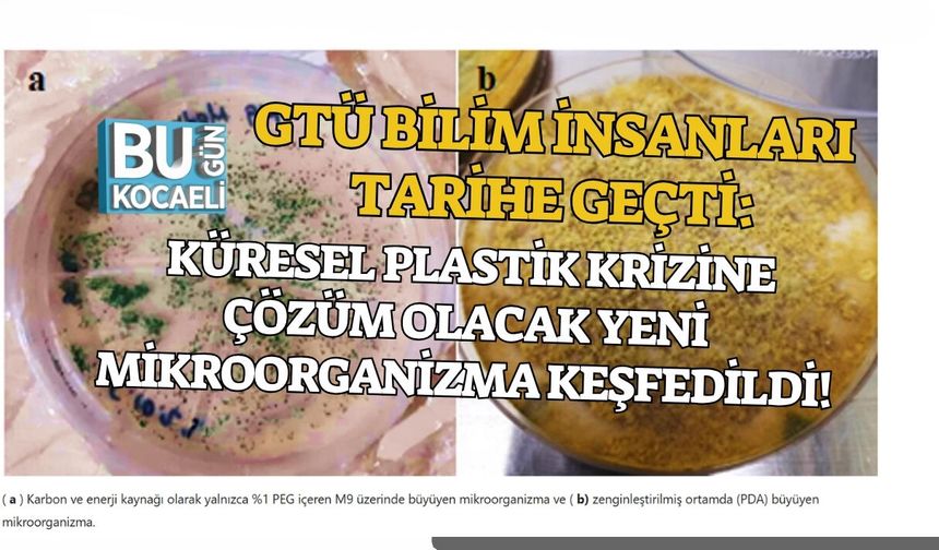 GTÜ BİLİM İNSANLARI TARİHE GEÇTİ: KÜRESEL PLASTİK KRİZİNE ÇÖZÜM OLACAK YENİ MİKROORGANİZMA KEŞFEDİLDİ!