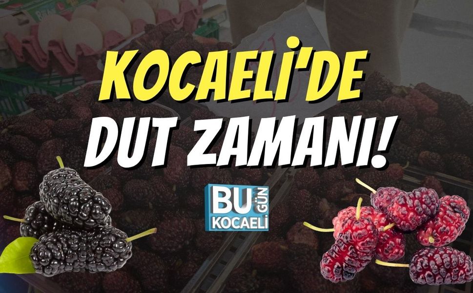 Kocaeli’de Dut Zamanı!