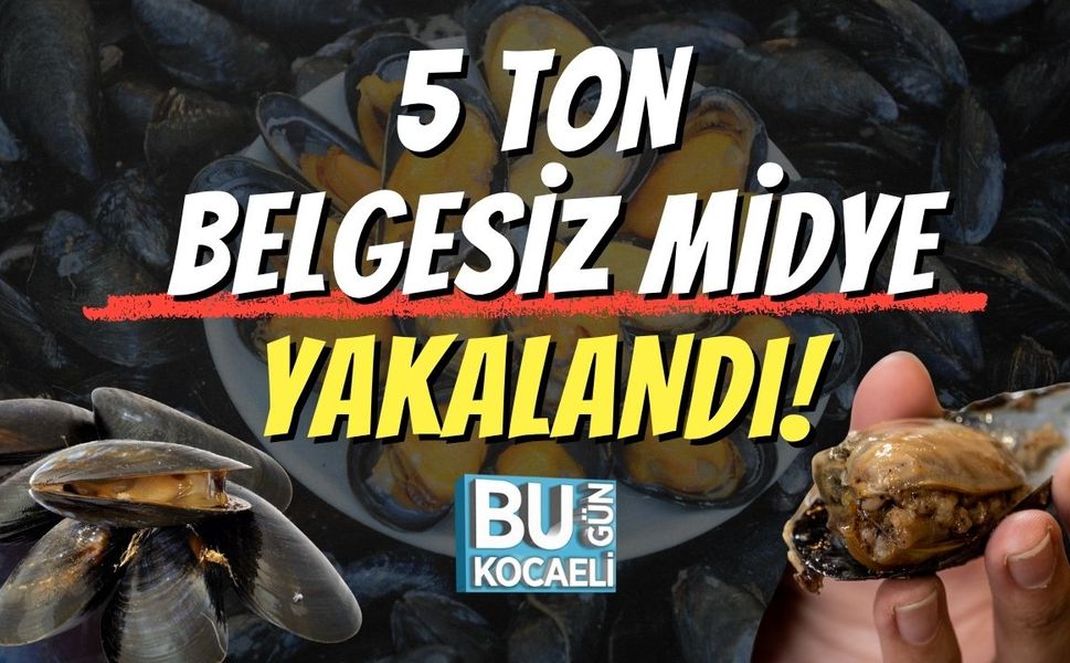 5 Ton Belgesiz Midye Yakalandı!