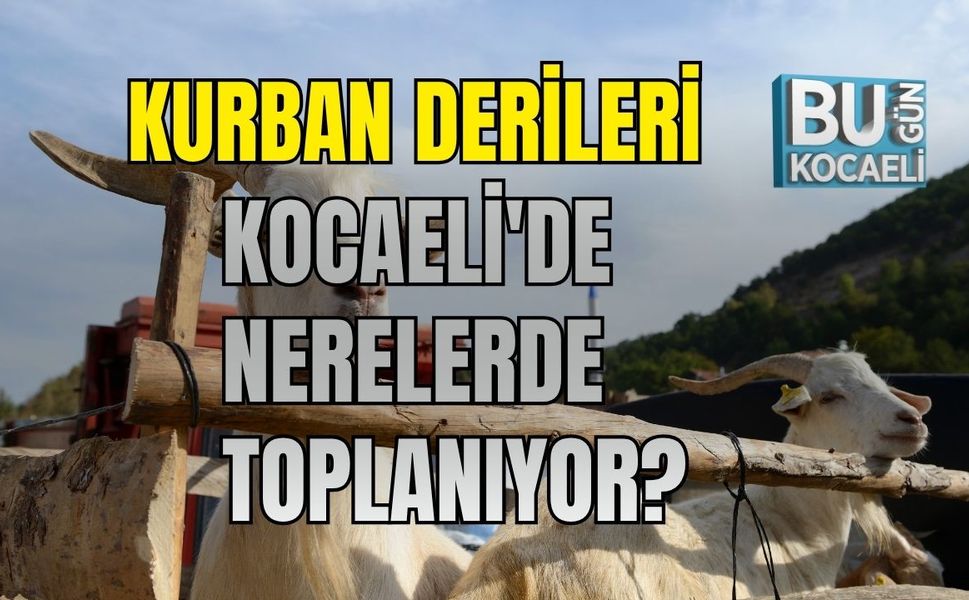 Kurban Derileri Kocaeli'de Nerelerde Toplanıyor?