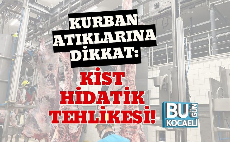 Kurban Atıklarına Dikkat: Kist Hidatik Tehlikesi!