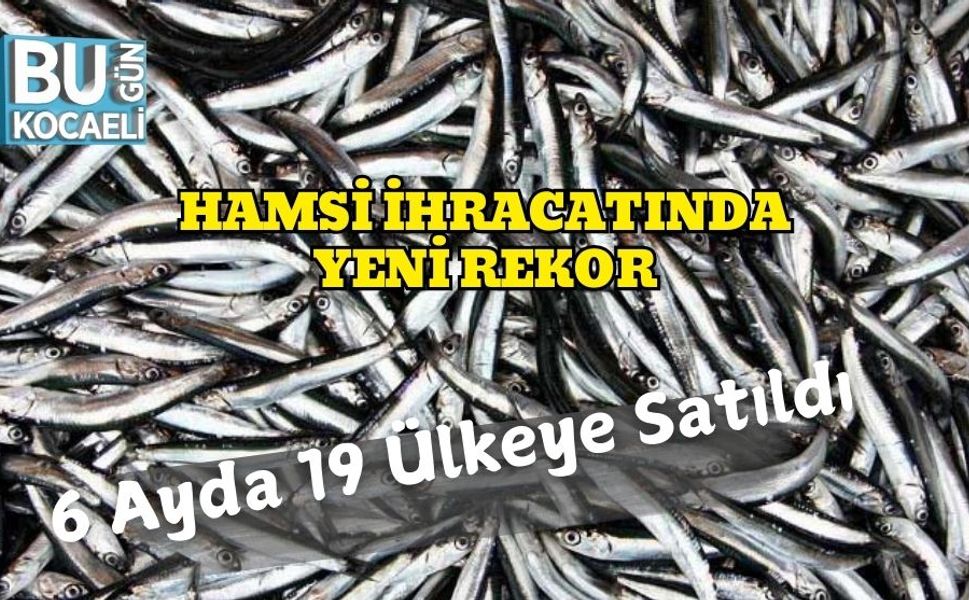 Hamsi İhracatında Yeni Rekor: 6 Ayda 19 Ülkeye Satıldı