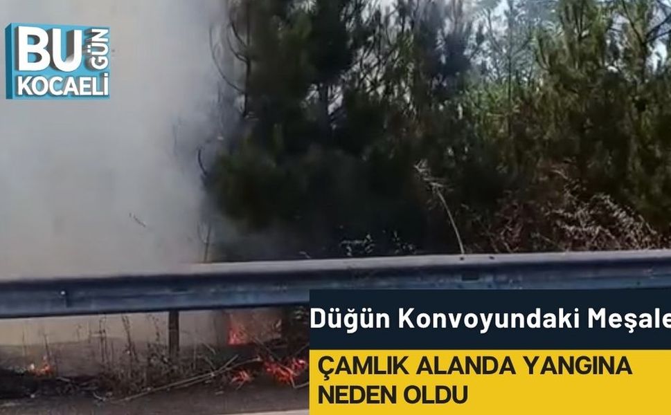 Düğün Konvoyundaki Meşale Çamlık Alanda Yangına Neden Oldu