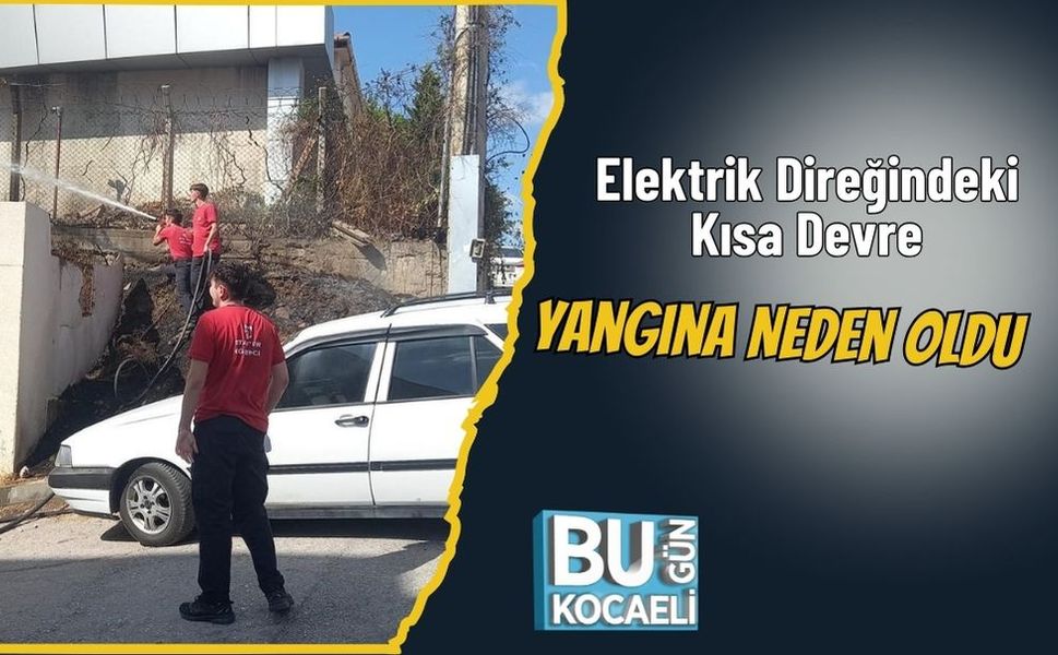 Elektrik Direğindeki Kısa Devre Yangına Neden Oldu