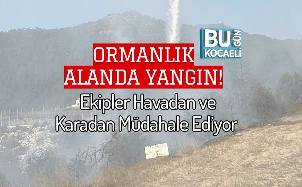 Ormanlık Alanda Yangın! Ekipler Havadan ve Karadan Müdahale Ediyor