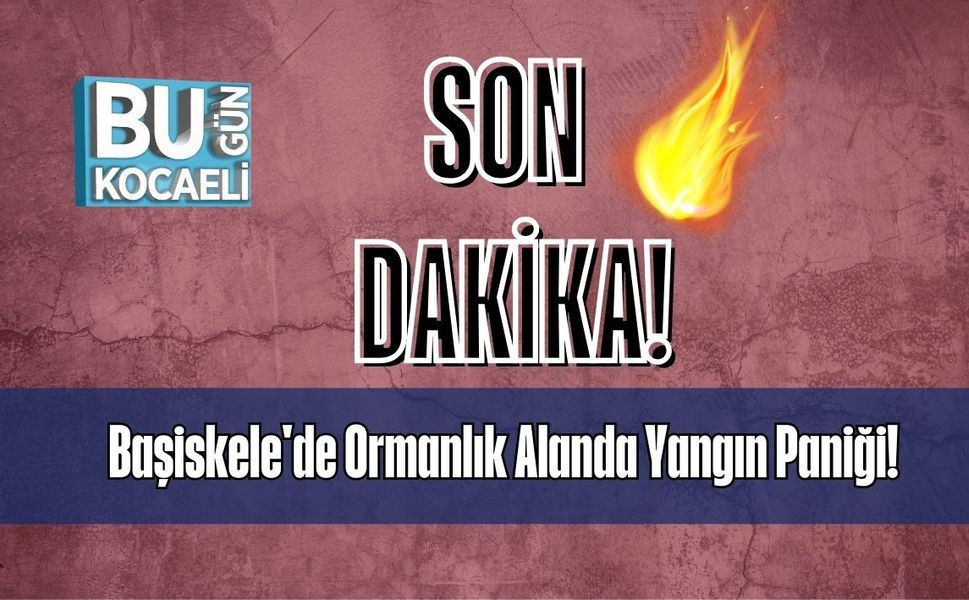 Başiskele'de Ormanlık Alanda Yangın Paniği!