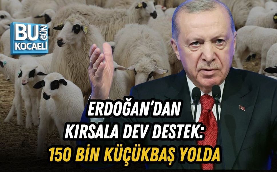ERDOĞAN’DAN KIRSALA DEV DESTEK: 150 BİN KÜÇÜKBAŞ YOLDA