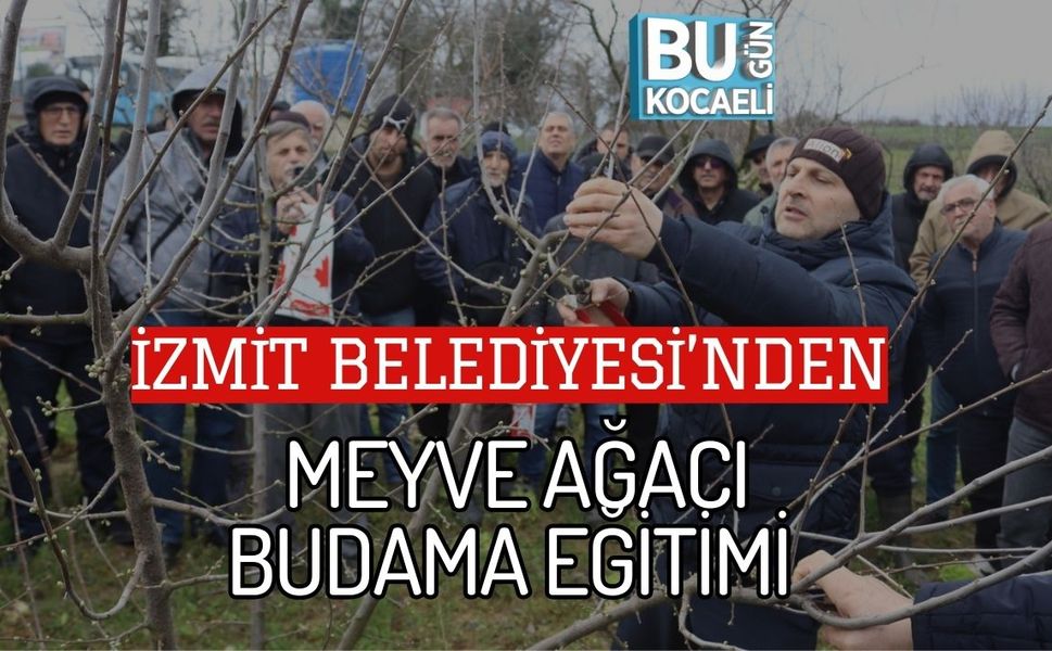 İZMİT BELEDİYESİ’NDEN MEYVE AĞACI BUDAMA EĞİTİMİ