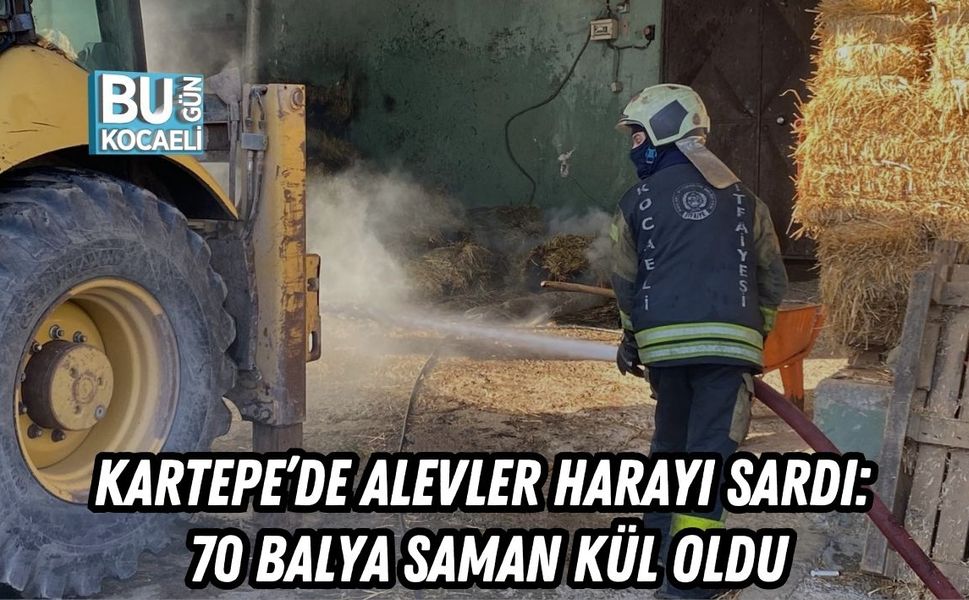 KARTEPE’DE ALEVLER HARAYI SARDI: 70 BALYA SAMAN KÜL OLDU