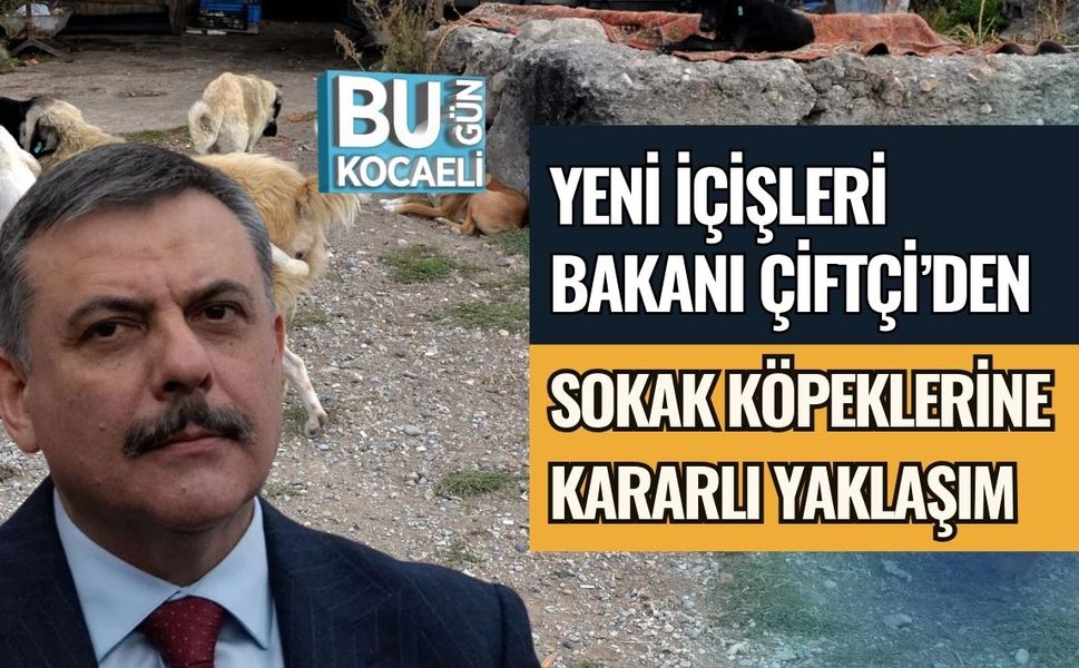 YENİ İÇİŞLERİ BAKANI ÇİTÇİ’DEN SOKAK KÖPEKLERİNE KARARLI YAKLAŞIM