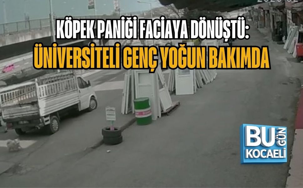 KÖPEK PANİĞİ FACİAYA DÖNÜŞTÜ: ÜNİVERSİTELİ GENÇ YOĞUN BAKIMDA