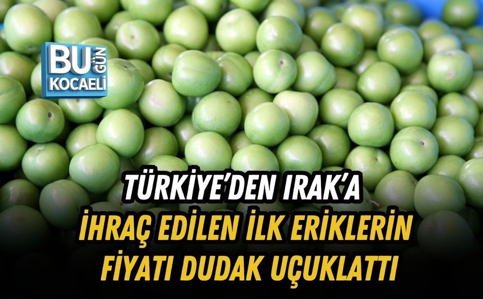 TÜRKİYE’DEN IRAK’A İHRAÇ EDİLEN İLK ERİKLERİN FİYATI DUDAK UÇUKLATTI