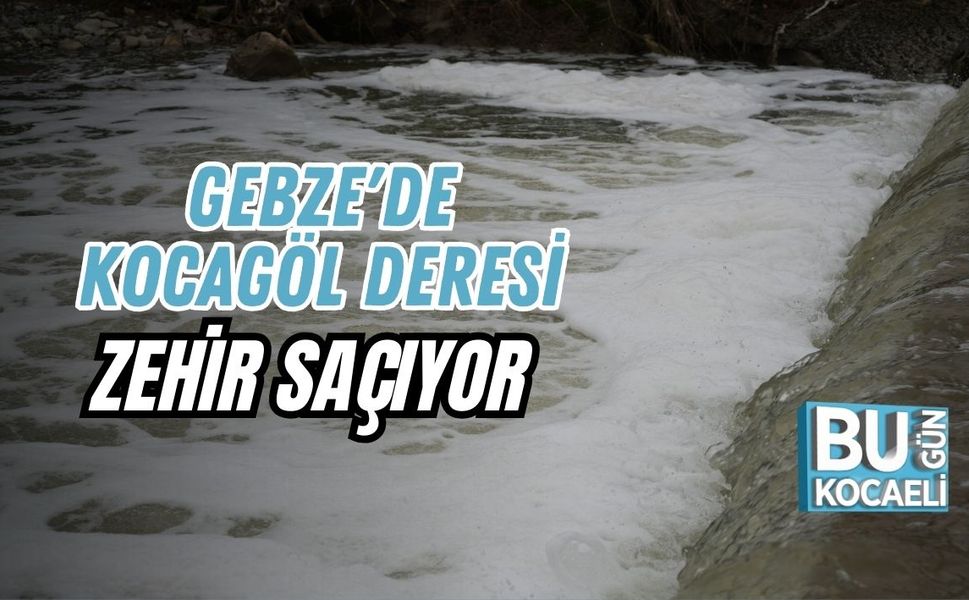 GEBZE'DE KOCAGÖL DERESİ ZEHİR SAÇIYOR
