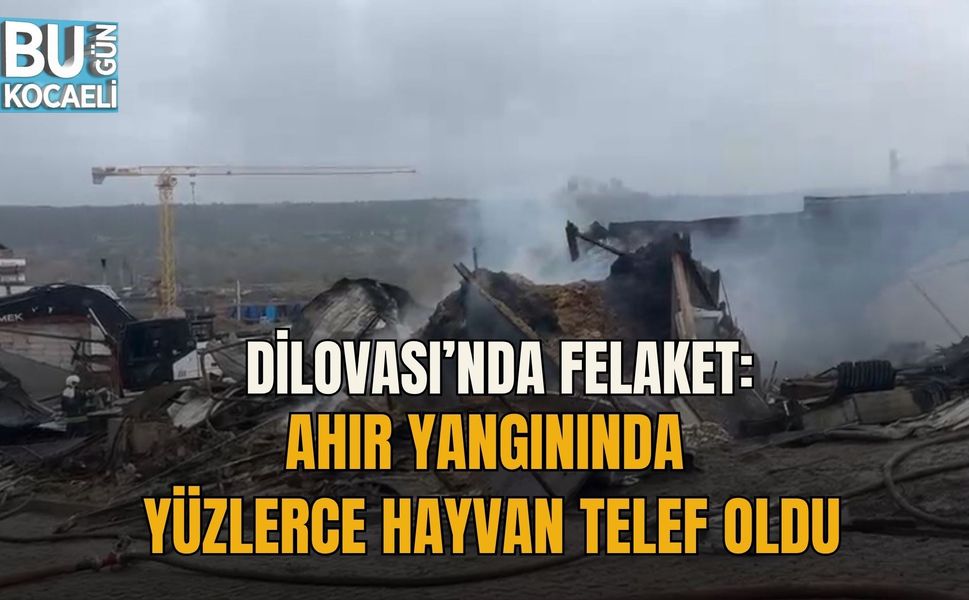 DİLOVASI’NDA FELAKET: AHIR YANGININDA YÜZLERCE HAYVAN TELEF OLDU