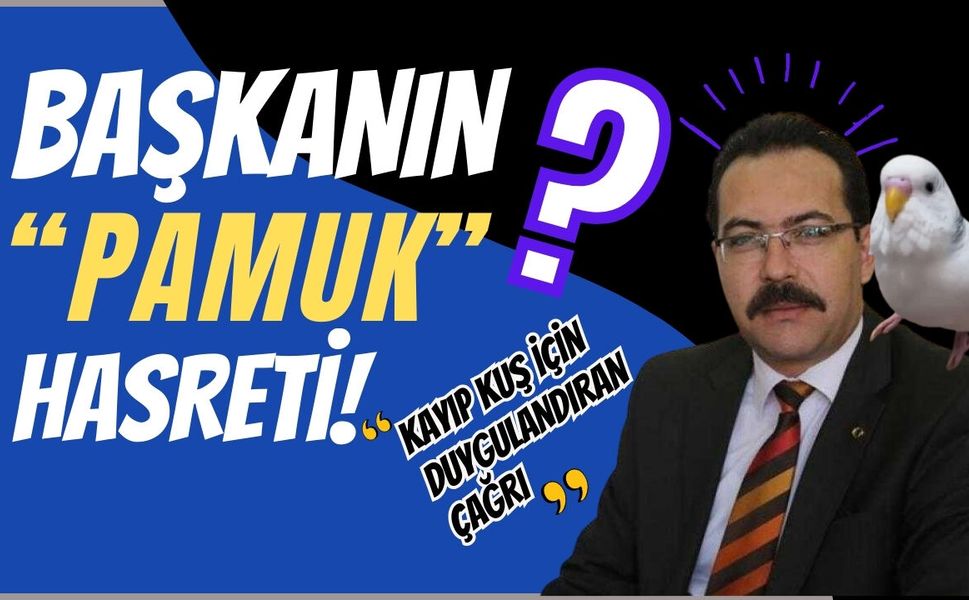 BAŞKANIN “PAMUK” HASRETİ! KAYIP KUŞ İÇİN DUYGULANDIRAN ÇAĞRI