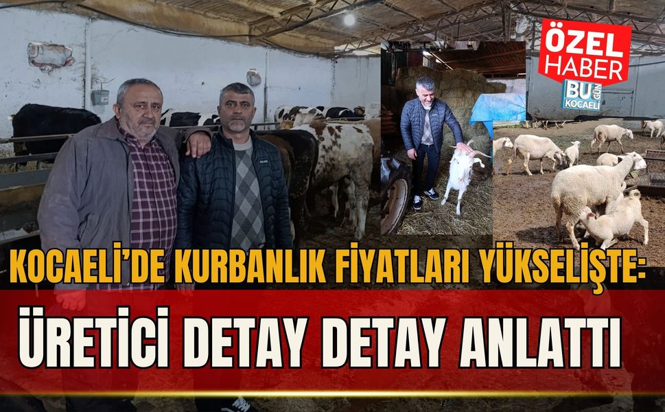 KOCAELİ’DE KURBANLIK FİYATLARI YÜKSELİŞTE: ÜRETİCİ DETAY DETAY ANLATTI