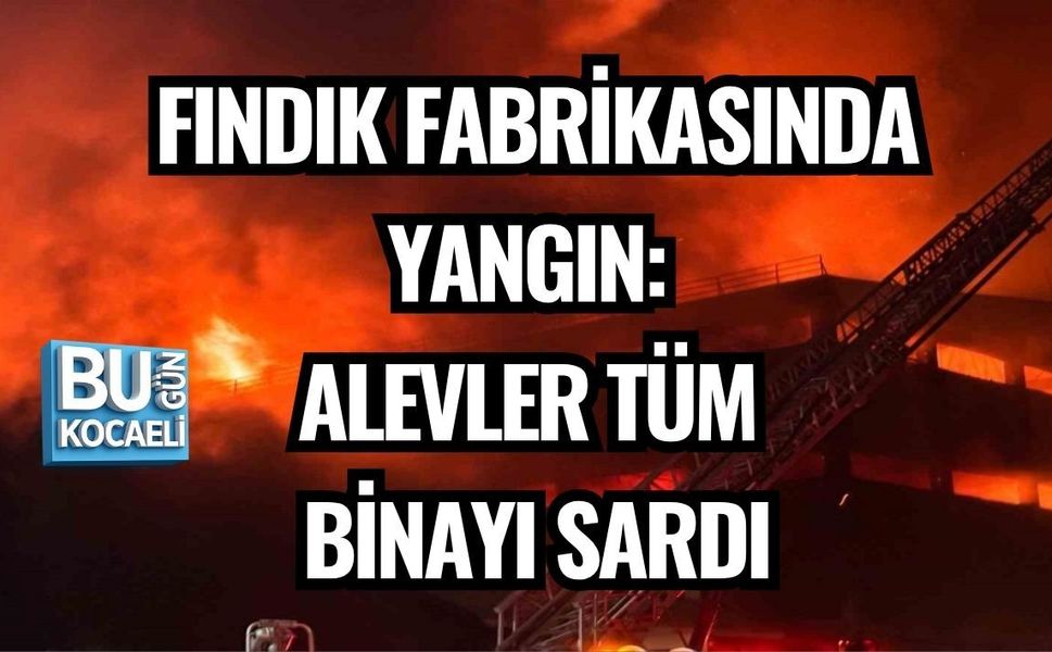 FINDIK FABRİKASINDA YANGIN: ALEVLER TÜM BİNAYI SARDI