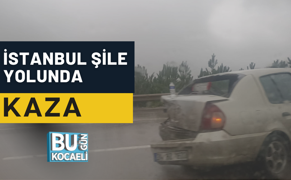 İSTANBUL ŞİLE YOLUNDA KAZA
